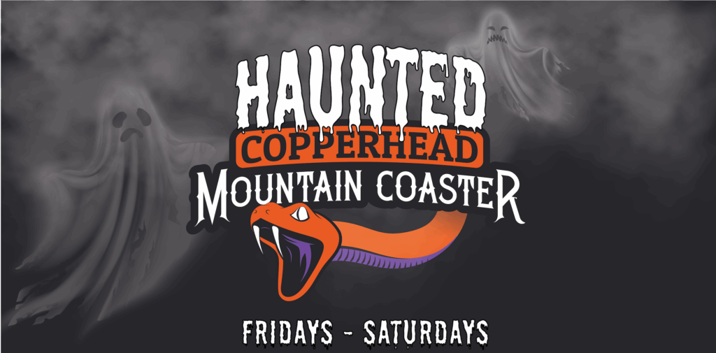 hauntedcoasterheader2 01
