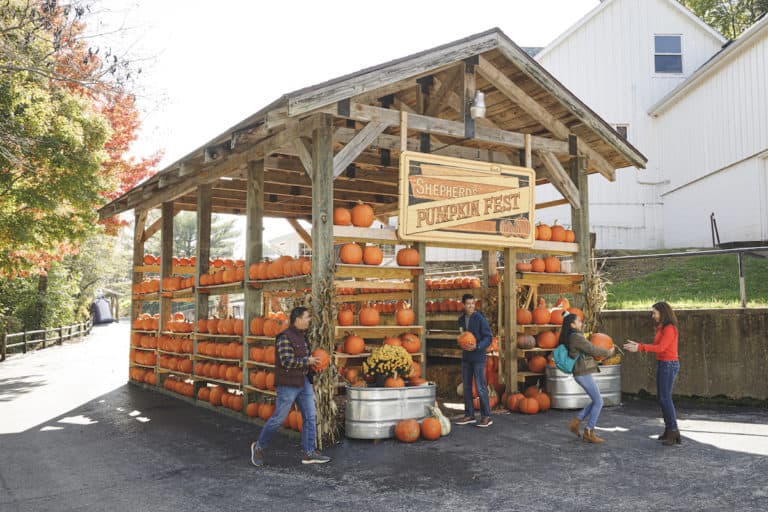Fall Festival Branson Events Shepherd's PumpkinFest