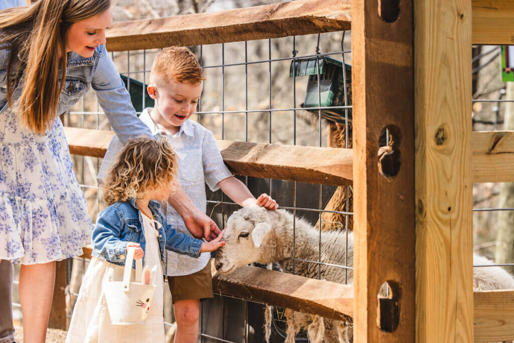 springfest animals