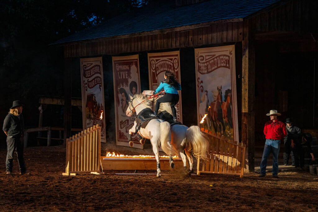 WWMMfirehorse