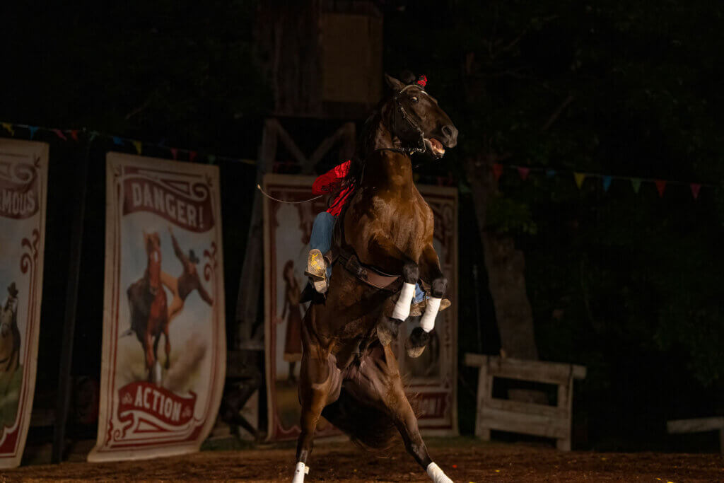 WWMMhorse2