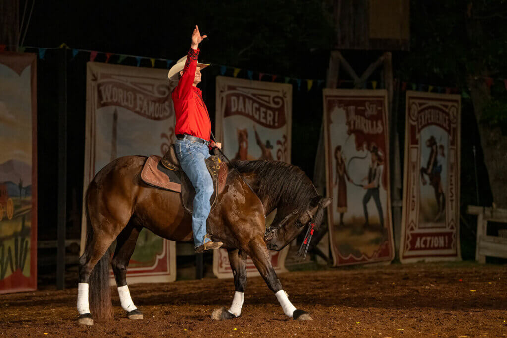 WWMMhorse3