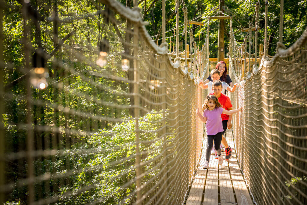 shepherdbridges