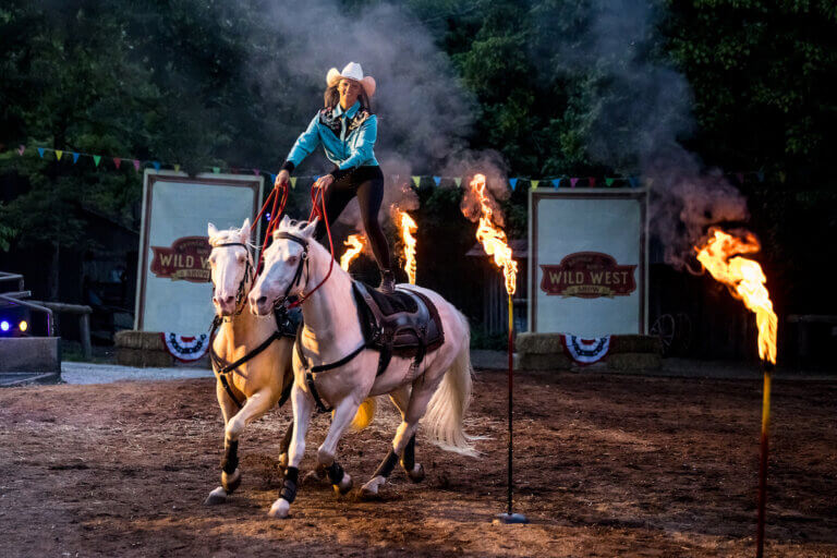 wildwest horses