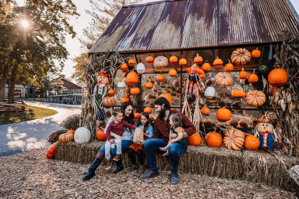 pumpkinhouse1