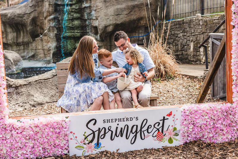 springfest sign
