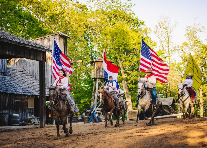 Horses AmericanFlag
