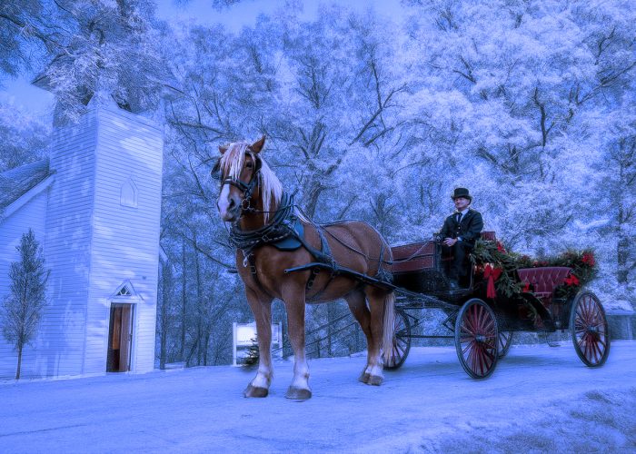 Horse Drawn Carriage Rides