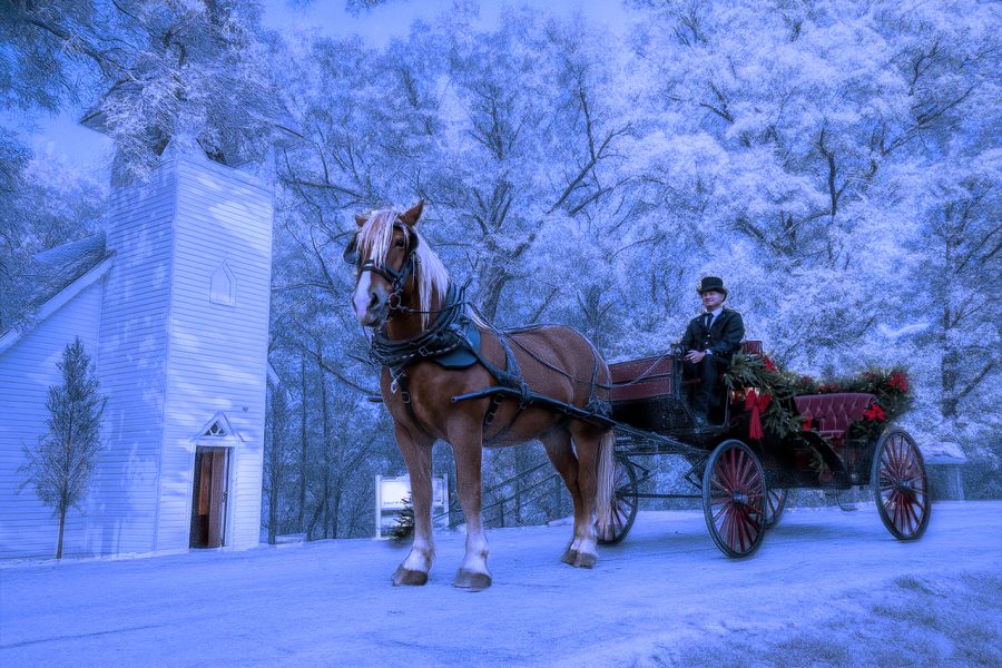 Horse Drawn Carriage Rides