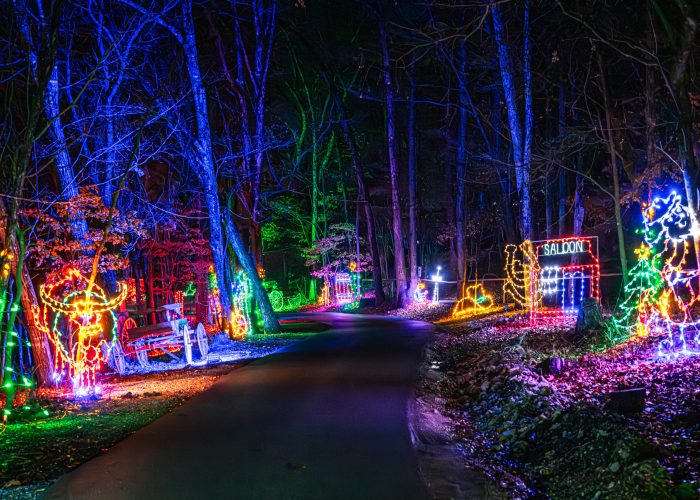 Trail Of Lights