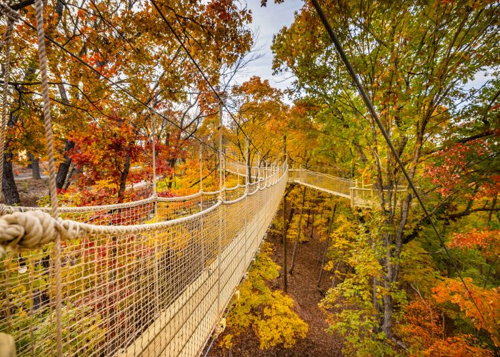 TSOTH Bridge 39A0757