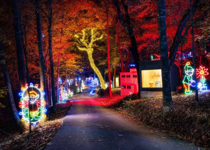 Trail of lights