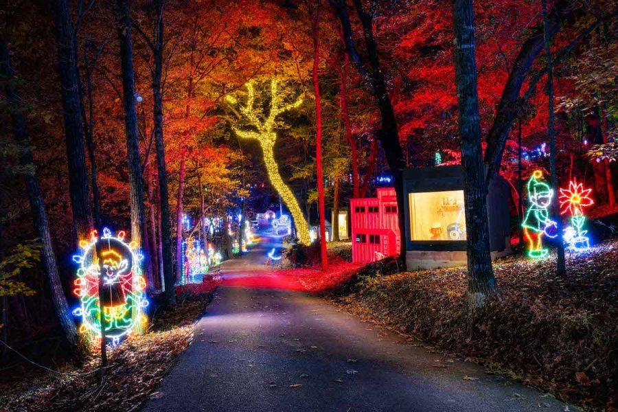 Trail of lights