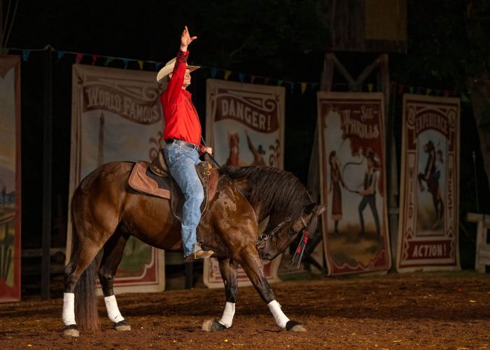 WWMMhorse3