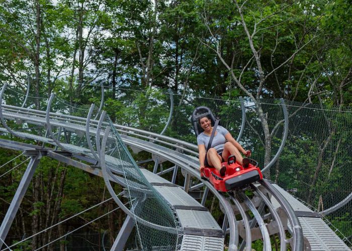 copperheadmountaincoaster 289 2