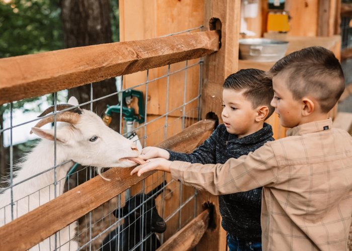 farmanimals