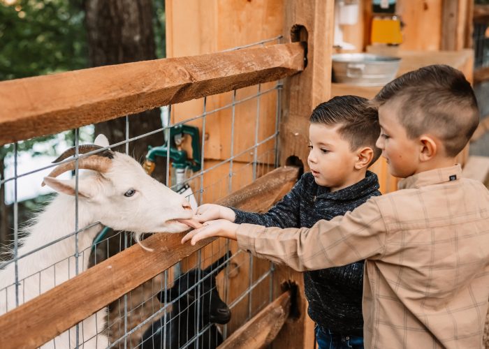 farmanimals