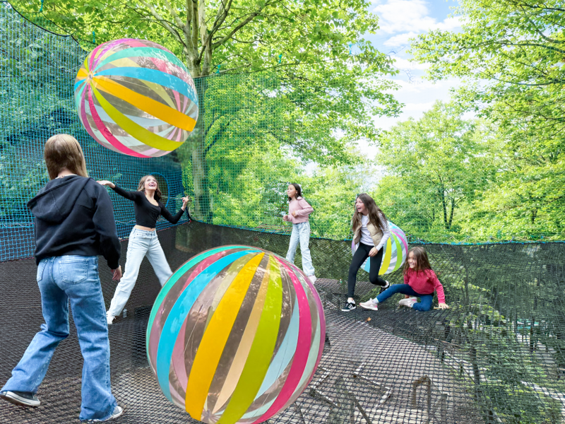 netventures_spring-fall