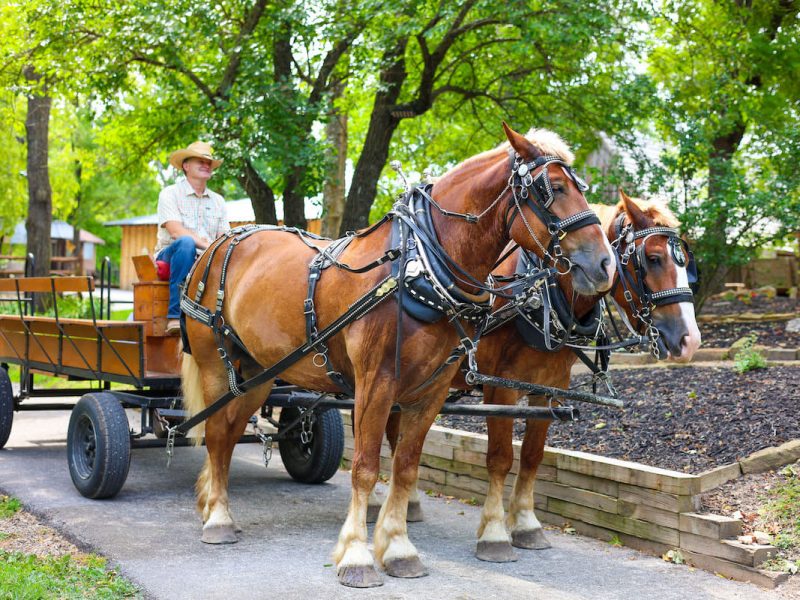 oldtrail 172