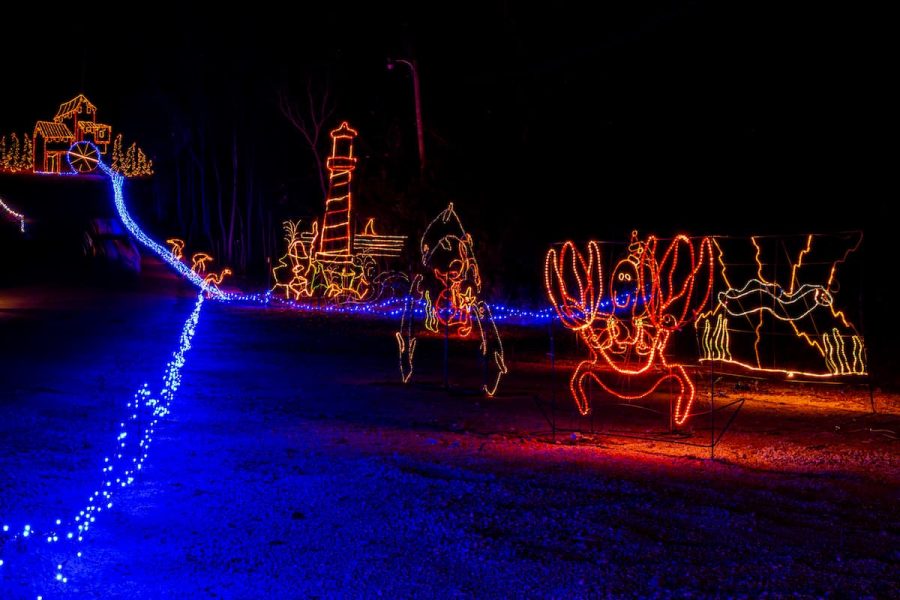 trailoflights2020 20 2