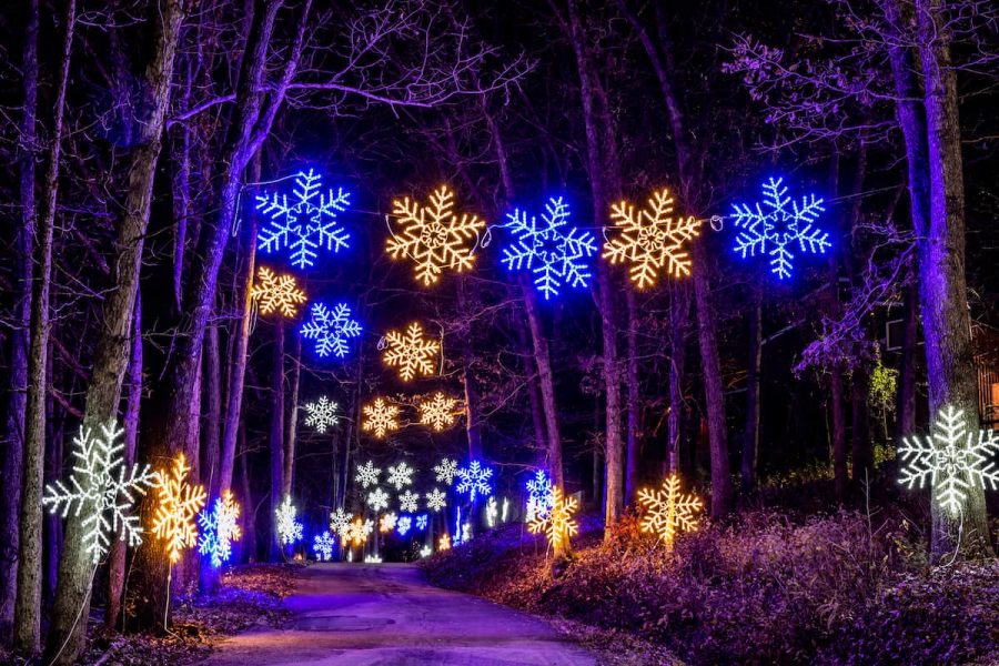 trailoflights2020 60 2