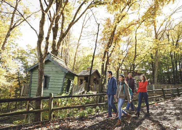 treehousesexplorebranson