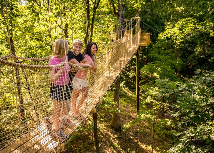 treetopbridges1