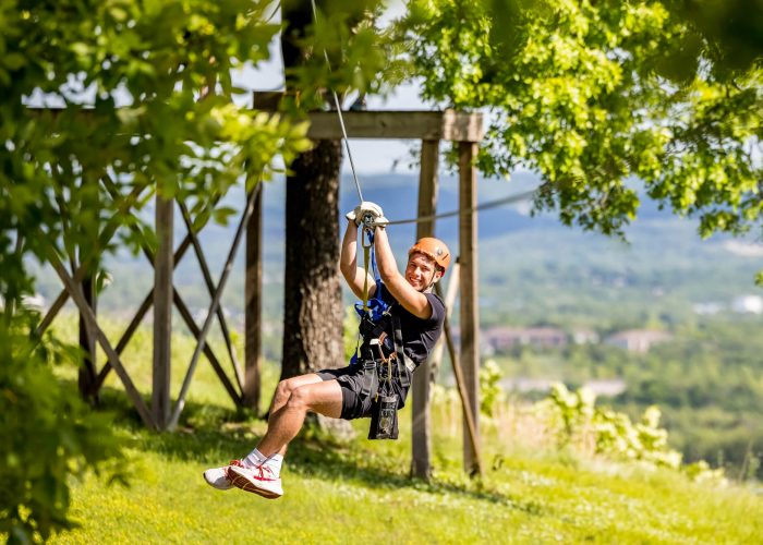 zipline1